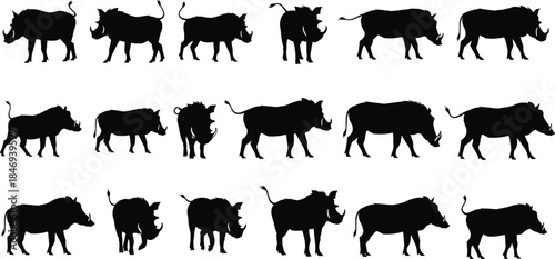 Wild boar silhouette set, animal profiles, black wildlife icons, boar poses, vector collection, nature illustration, hunting design, isolated white background