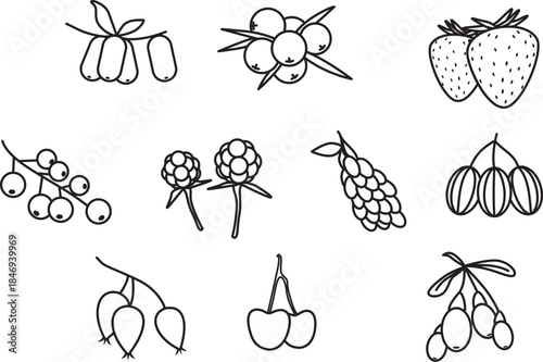 A charming collection of hand-drawn berry illustrations, featuring strawberries, raspberries, currants, cherries, and gooseberries, perfect for culinary and design projects