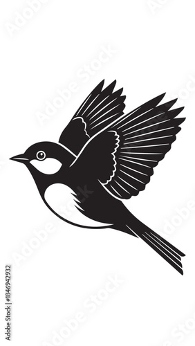 Vector illustration of a black and white swallow in mid-flight with graceful wings and a forked tail.