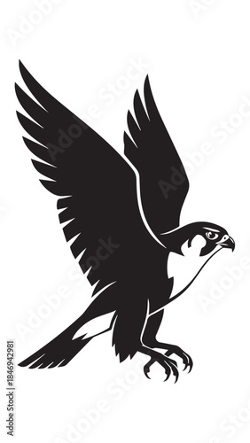 Silhouette of a soaring predatory bird with extended wings and curved beak in flight.
