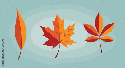 Three autumn leaves in distinct shapes create a vibrant seasonal illustration with warm oranges reds and yellows set against a cool blue background.