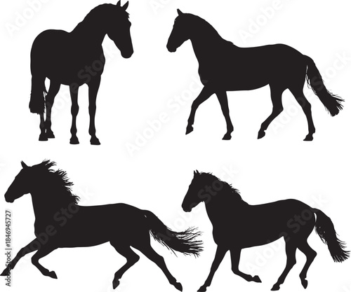horse silhouettes set