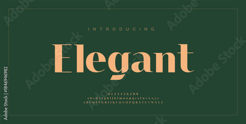 Luxury serif font with delicate curves and stylish ligatures, perfect for high-end branding and packaging