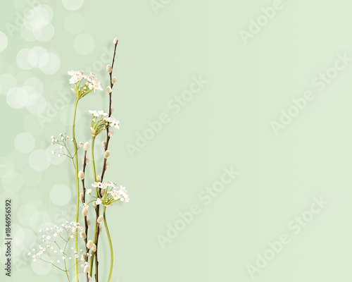 Spring Background with Willow Branches And Delicate Gypsophila On Pastel Green Backdrop For Easter Spring Celebrations Seasonal Decor Religious Holidays And Floral Designs With Copy Space