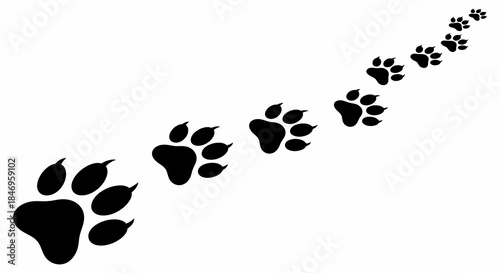 Black animal paw prints in a trail on white background
