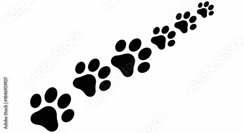 Black paw prints trail on white background
