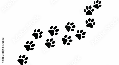 Black paw prints on white background in diagonal line