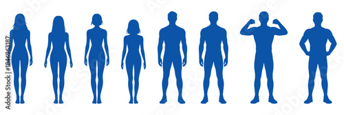 Male and female human body silhouette set with standing poses, ideal for anatomy reference, fitness design, health education, posture guide, medical illustration, body proportion and character base 