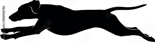 Running Greyhound Silhouette Vector Isolated on White Background