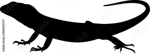 Lizard Silhouette Vector Isolated Reptile Clipart for Design