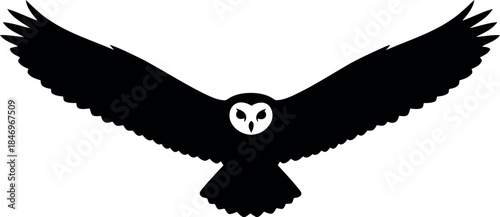 Flying Barn Owl Silhouette Vector Isolated on White Background