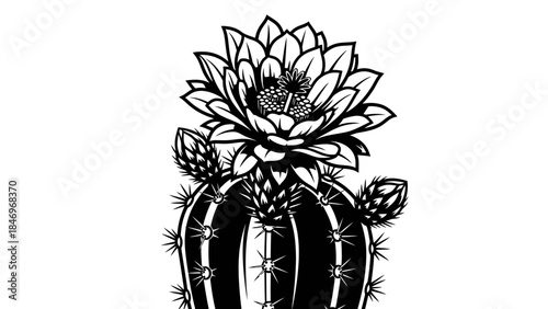 Black & White Planetary System Flat Design