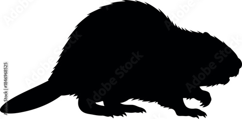 Beaver Silhouette Vector Isolated Wildlife Animal Graphic
