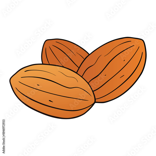 A simple, crunchy almond coloring page showing natural almonds with shells and leaves, perfect for coloring lovers to enjoy healthy, nutty details.

