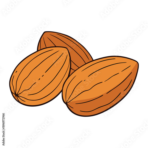 A simple, crunchy almond coloring page showing natural almonds with shells and leaves, perfect for coloring lovers to enjoy healthy, nutty details.
