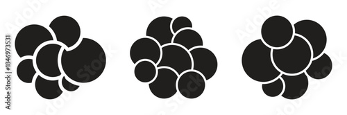 Circle photo collage grid template.  Black and white picture wall album for abstract background, business, collage art, digital photo, papers.