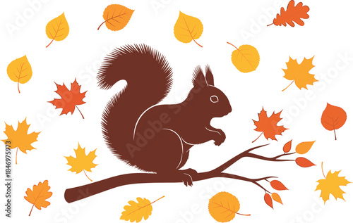 Brown squirrel on branch surrounded by autumn leaves brown squirrel, autumn leaves, branch, tree branch, leaves, yellow leaves, orange leaves, red leaves, fall season, wildlife, animal, rodent, bushy 