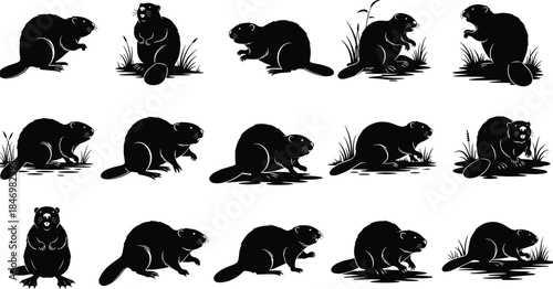 Beaver animal silhouette vector set, wild rodent poses collection, black wildlife illustrations, nature and forest animal design elements