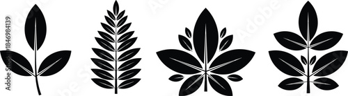 Leaf silhouette vector illustration set, botanical plant foliage icons, black nature symbols, minimalist organic design elements collection