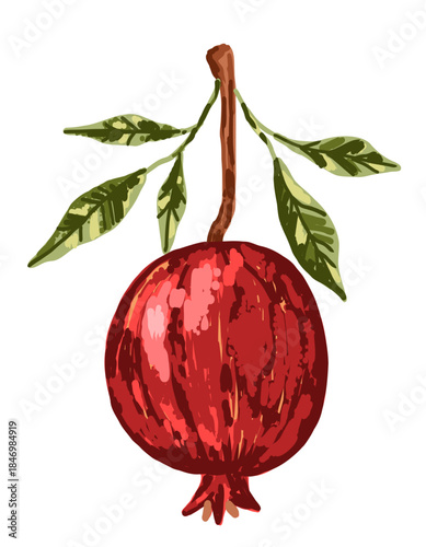 Red pomegranate fruit branch with leaves
