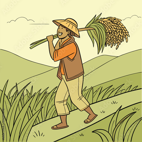 Smiling Asian farmer happily carries rice stalks on his shoulder through the fields