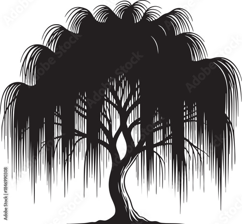 Black silhouette of a weeping willow tree with long, drooping branches and detailed trunk