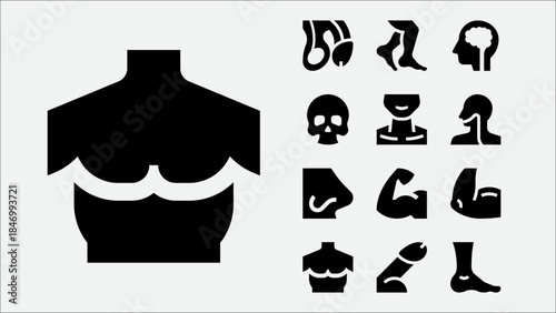 Human Body Anatomy Line Icons