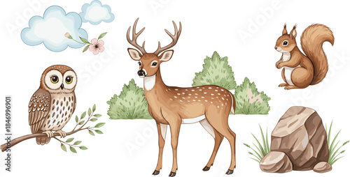Watercolor Woodland Animals and Nature Vector Set; Detailed Deer, Owl, Squirrel, Bushes, and Rock Elements for Forest and Wildlife Designs.