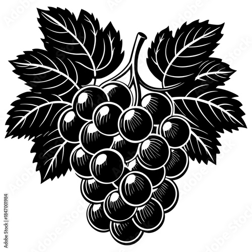 Grape Bunch with Leaves Silhouette Vector Illustration