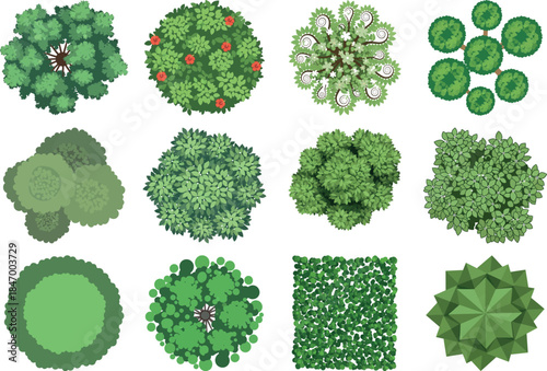 Variety of green foliage and plant textures