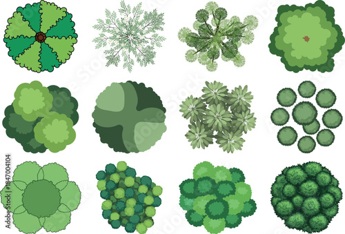 Various green cellular structures and patterns
