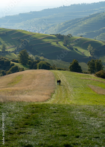 walking in the mountains kaiserstuhl