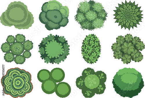 Variety of green cauliflower types and shapes