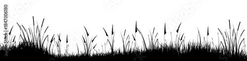 Meadow silhouette with grass, plants on plain. Panoramic summer lawn landscape with herbs, various weeds. Herbal border, frame element. Black horizontal banners. Vector illustration