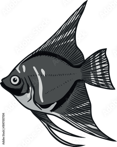 Colorful Angelfish (Pterophyllum scalare) Illustration 1