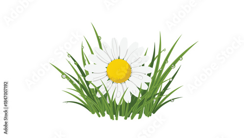 A cheerful daisy blooms amidst lush green grass with delicate water droplets, creating a fresh and vibrant springtime scene.