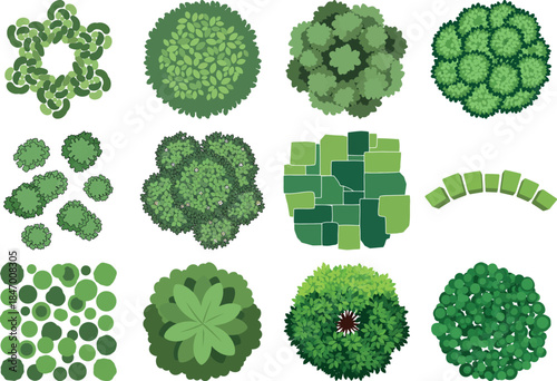 Variety of green moss and lichen formations on a white background