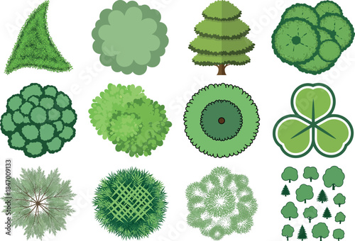 Variety of green fruits and vegetables illustration