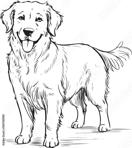 Happy golden retriever dog standing on floor