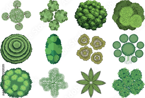 Collection of various green algae and plant cells in different shapes and forms
