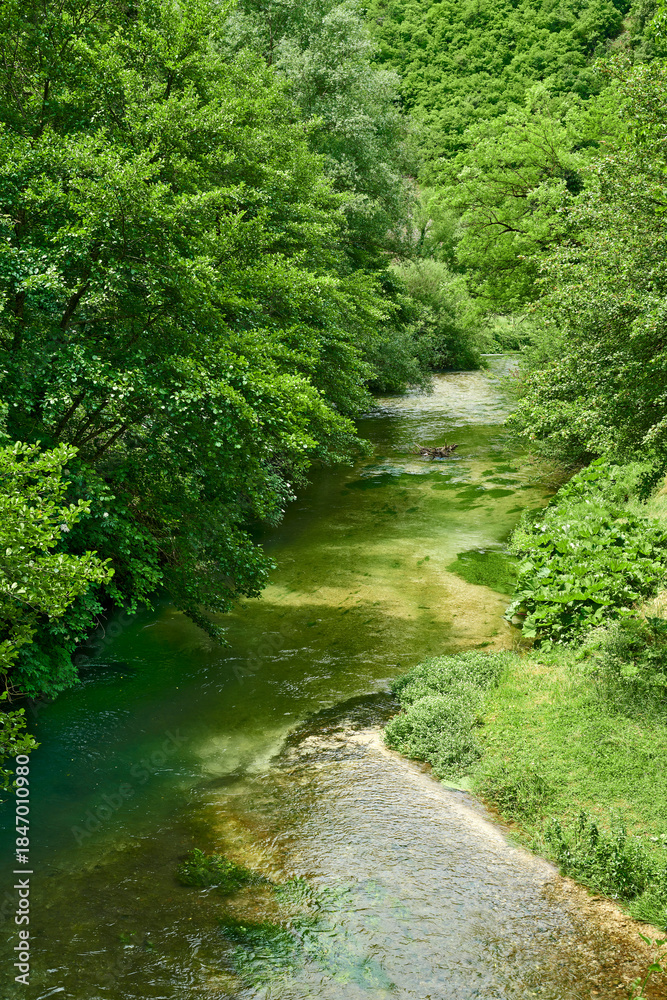 Fototapeta premium fiume sordo