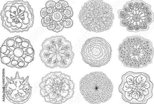 Microscopic view of various cell structures in biology