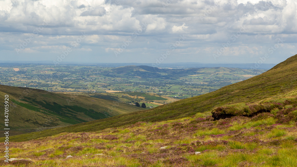 Fototapeta premium panoramic view over a vibrant grassland at the Mourne Mountains range, ireland