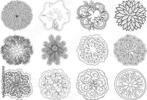 Collection of 12 black and white microscopic cell illustrations