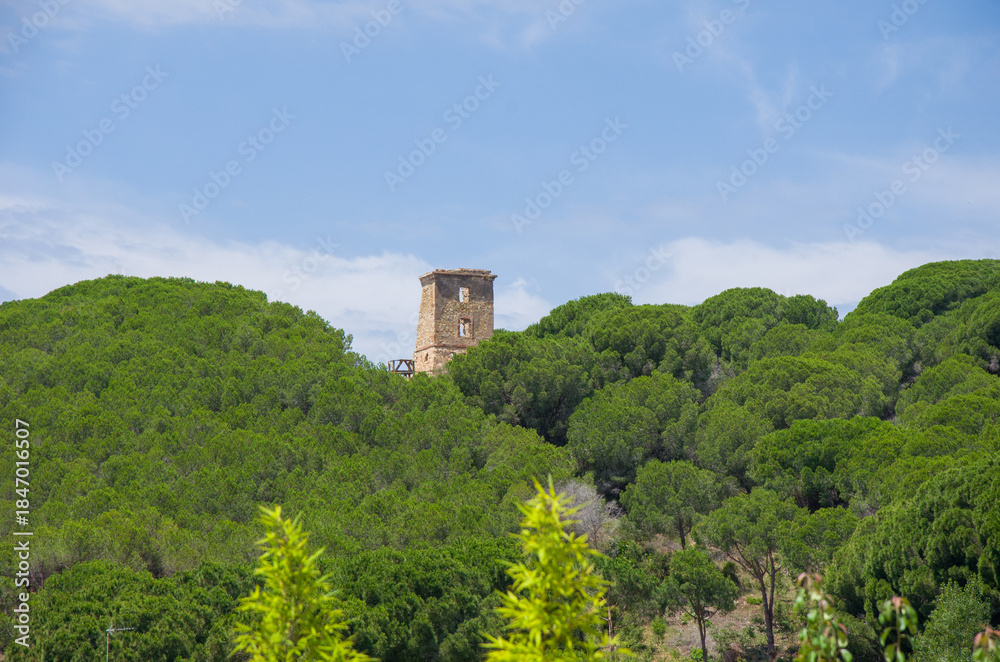Fototapeta premium Ruined Tower Surrounded by Lush Green Forest