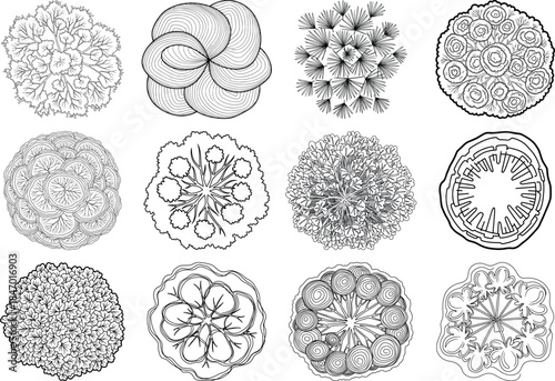 Collection of cell division stages and microscopic biological samples