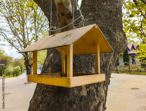 A simple bird feeder made from plywood and planks