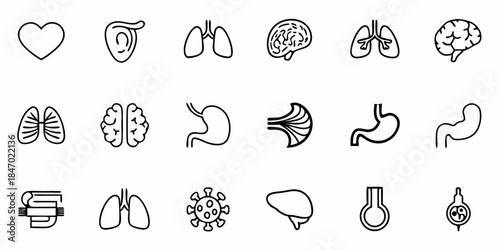 Body System Icons: Visualizing Human Anatomy and Biological Functions