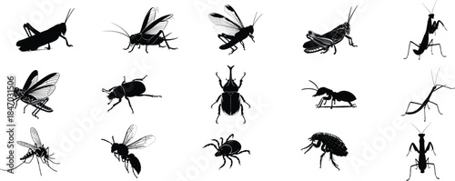 Collection of black silhouettes of various insects and arthropods