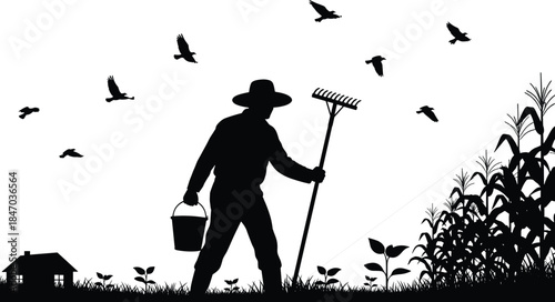 Silhouette farmer working in cornfield with rake and bucket, rural agriculture scene with flying birds, sunrise farming landscape vector illustration for sustainable countryside concept
